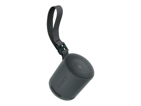 SONY SRSXB100B.CE7 wireless speaker Black