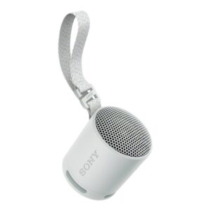 SONY SRSXB100H.CE7 wireless speaker Grey