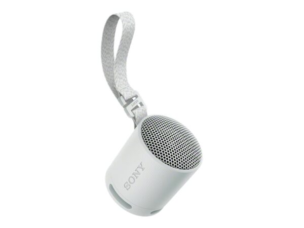 SONY SRSXB100H.CE7 wireless speaker Grey