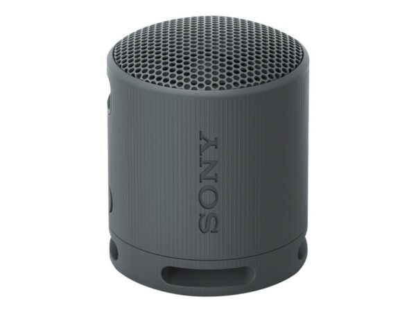 SONY SRSXB100B.CE7 wireless speaker Black - slika 2
